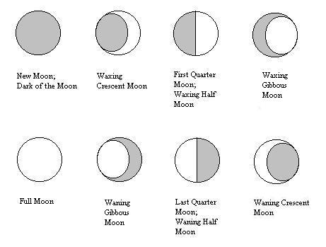 Moon Cycle Guide 